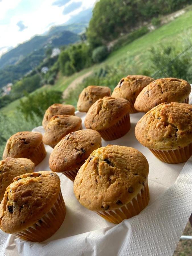 Bed and Breakfast La collina su Ascoli Ascoli Piceno Esterno foto